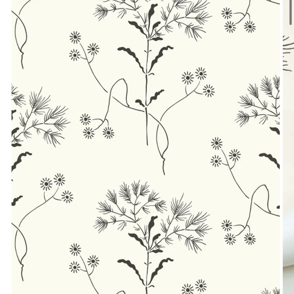 Magnolia Home Wildflower Peel & Stick Wallpaper - Black & White